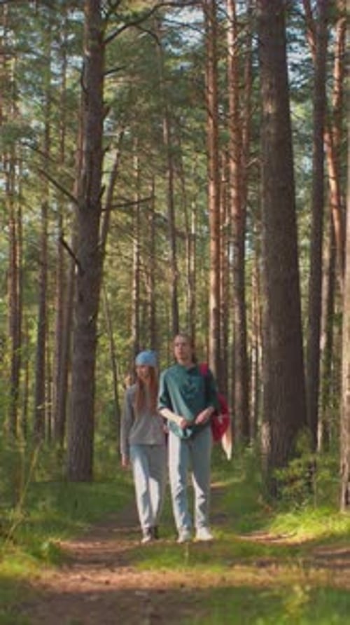 Ladies Walking Through Sunlit Forest with Blue Scarf and Reflective Gaze