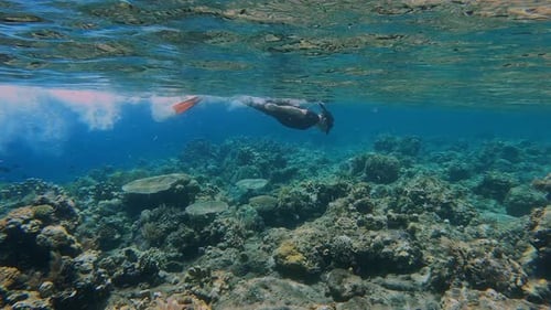 Young Man Snorkeling in Blue Ocean