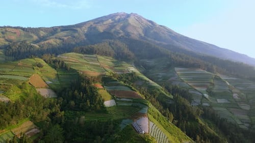 landwirtschaftliches Feld