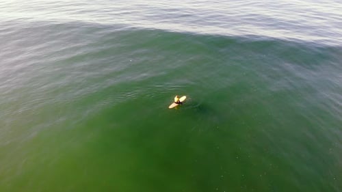 Lone surfer (Zander Adelsohn) waits for a wave in vast Pacific Ocean at Huntington Beach, CA surfing