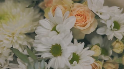 Close Up of Roses and Daisies