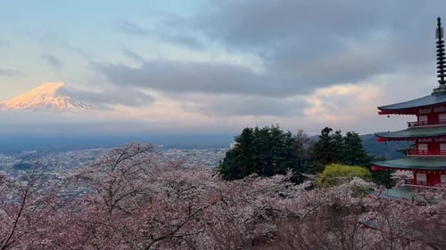 Popular Attractions of Japan