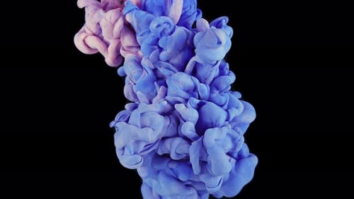 Pink and Blue Ink Plumes on Black Background