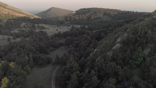 Beautiful mountain landscape of the forest in a dirt road from a height in summer