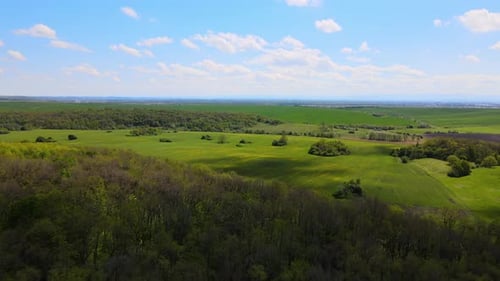 Aerial View of Green Farm Fields in Summer Season with Growing Crops Farming and Agriculture