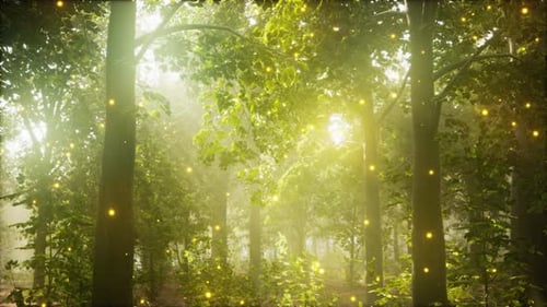 A Forest Filled with Lots of Green Trees