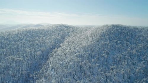 Aerial Winter Mountain Landscape of a Frozen Forest with Snow and Ice Covered Trees on a Sunny