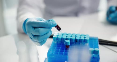 Test Tube Analysis in a Lab