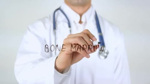 Bone Marrow Doctor Writing on Glass