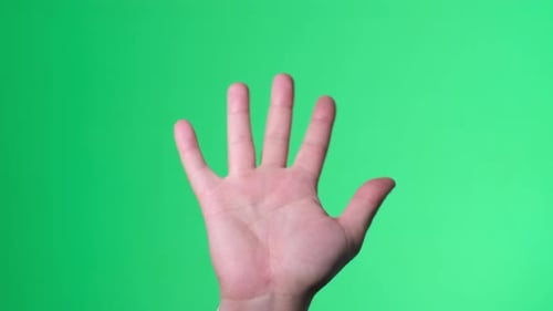 Open Hand against Green Screen Background