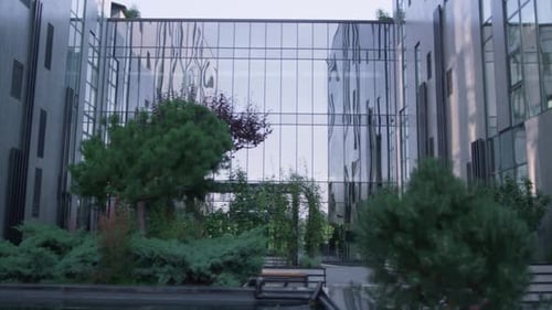 Neat Garden At Glass Building In Modern Downtown District. Empty Peaceful Recreation Area Lush Gr...