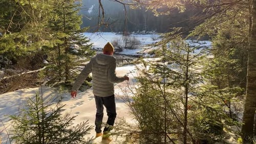 A Man Walks Into a Winter Snowy Forest Surrounded By Trees and Sunlight