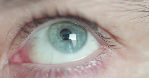 Close Up Macro Shallow Depth of Field Shot of Human Male Eye