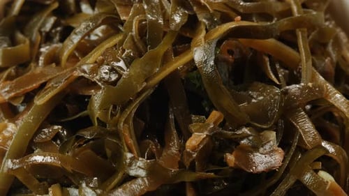 Japanese Wakame Seaweed Chuka Fermented Food Closeup on a Detail of Hiyashi Wakame Chuka or Seaweed