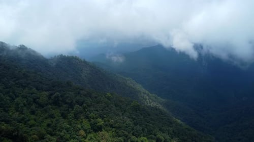Aerial view of sea of fog on tropical mountains in the early morning. Layers of mountains