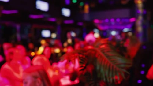 Blurry Evening at a Nightclub with Patrons