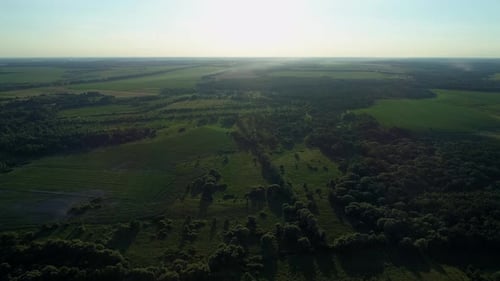 Aerial View Beautiful Landscape in Summer Drone Flying Over Field in Sunny Day
