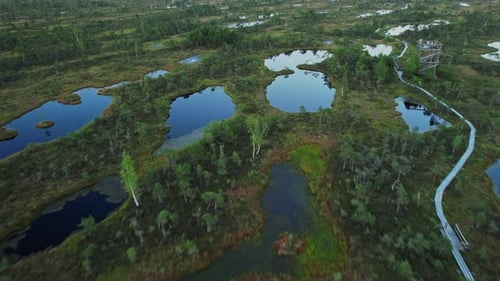 A bird's eye view of a swampy area