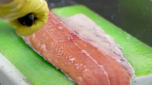 Mastering the art of salmon filleting