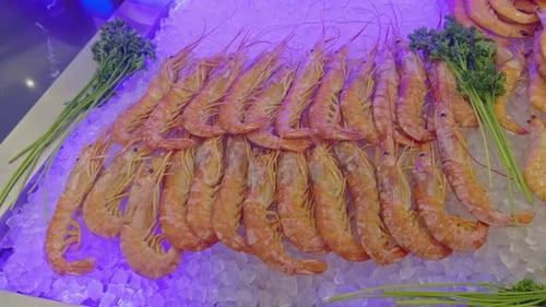 Langoustines Displayed on Ice at Seafood Buffet with Fresh Herbs