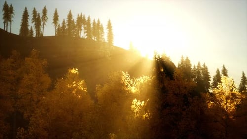 Coucher de soleil lumineux dans les montagnes avec forêt
