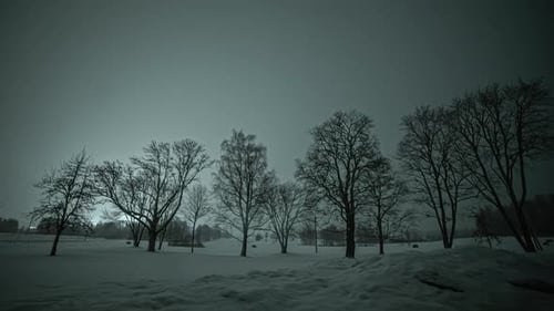 Snowy night landscape with black trees and lights in the background. Timelapse static shot.