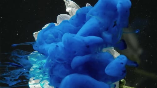 White Flower Enveloped by Blue Paint Cloud