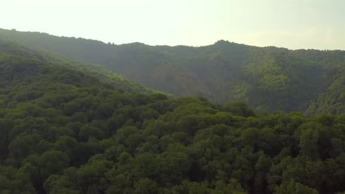 Scenic view fluffy green trees of highlands from drone flying above. Slow tracking shot of mountains