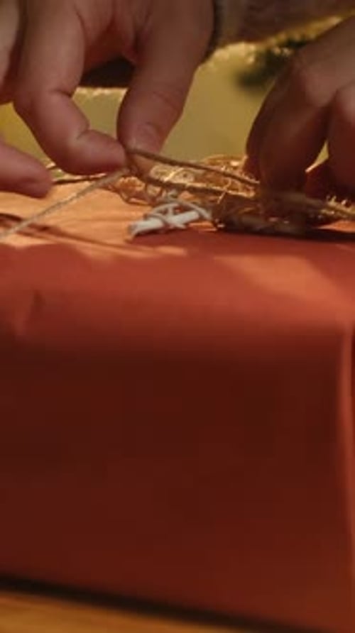 Vertical Video Hands Decorating Box with Christmas Present