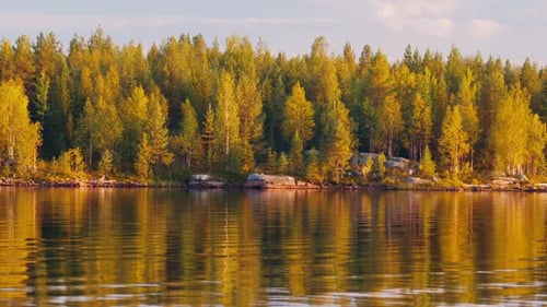 Autumn Forest and Calm Lake