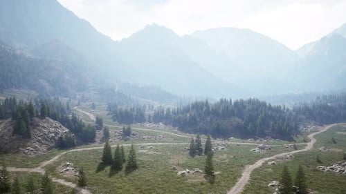 Winding Road in the Mountains with Pine Forest