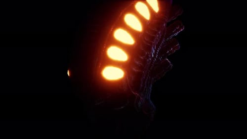 Biomechanical Skull VJ Loop