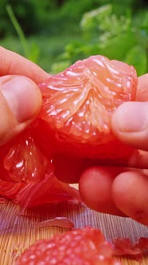 Vertical video. Close Up of Hands Breaking Juicy Red Pomelo Segment into Pieces with Visible Juice