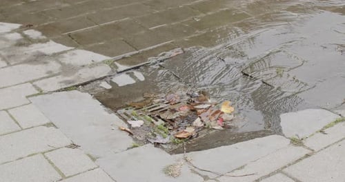 Água escorrendo por um ralo entupido com folhas.