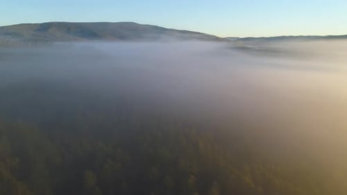Aerial Panoramic Landscape Fog Covers Green Trees Forest at Dawn Soft Sunlight Diffuses Into the Fog