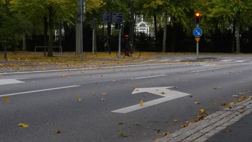 Empty street intersection with red traffic light and flying yellow autumn leaves, urban background w