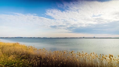 Wind Shakes Dry Reeds and Makes Ripples on a River with a Reflection of a Clouds