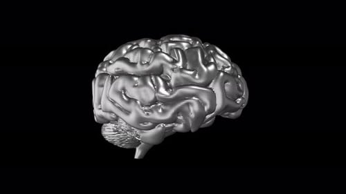 3D Metallic Brain Rotation for Medical and Science Projects