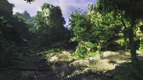 Habitat naturel serein Ruisseau boisé tranquille avec mousse et fougères