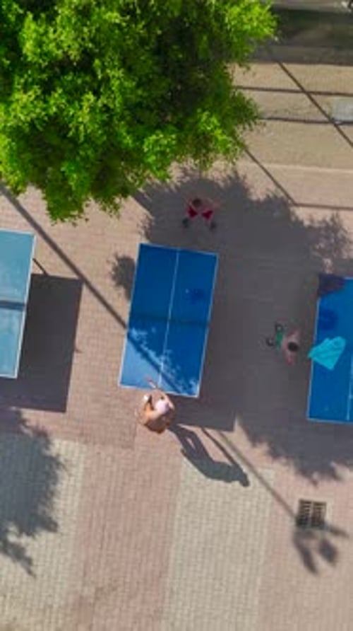 Vertical Video Outdoor Table Tennis Park Playtime