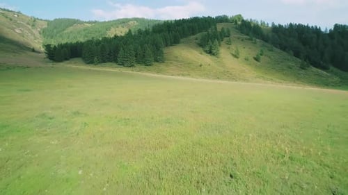 Low Altitude Aerial Over a Green Field Between the Hills and Trees Beautiful Summer Landscape