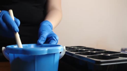 248p. Soil is added to the seedling tray with a spatula. The concept of gardening and horticulture.