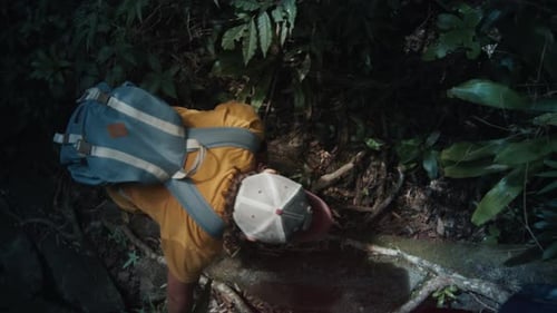 Couple Hiking in the Forest