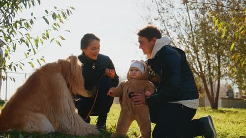 Loving Family Enjoys Sunny Day with Afghan Hound
