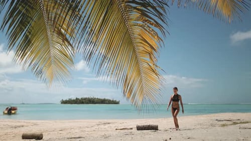 Serene Tropical Beach Scene With Lone Person Standing Under a Palm Tree