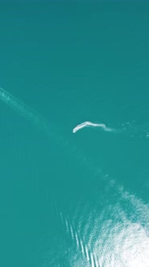 High Speed Water Bike Leaving Abstract White Footprints on Sea Water Vertical Video Aerial Top Down