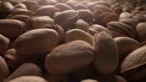 Macro Shot of Delicious Pistachios in Shells