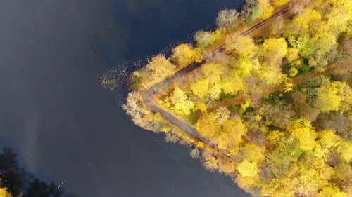 Aerial top down view of autumn forest with green and yellow trees. Mixed deciduous and coniferous fo