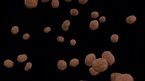 Animated Walnuts Falling Down Seamless Loop Background