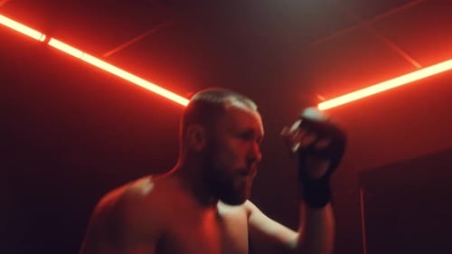 Fight Training